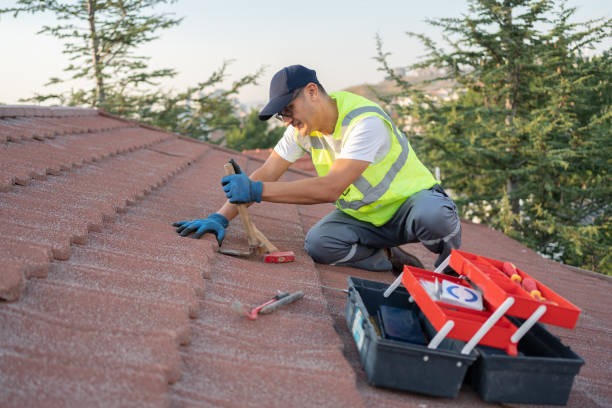 Gutter Installation and Roofing in Mount Airy, GA